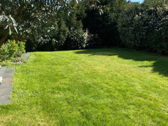 Linden: RESERVIERT ! HA R M O N I C U S… sonnig -ruhig – liebenswert ! !