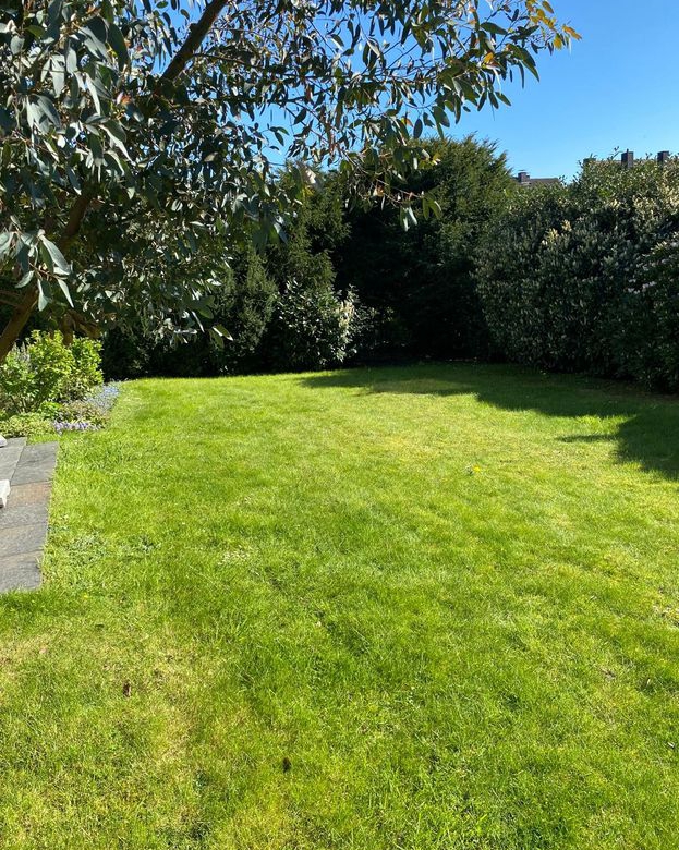 Linden: RESERVIERT ! HA R M O N I C U S… sonnig -ruhig – liebenswert ! !