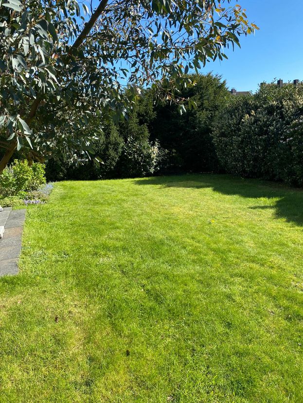 d83bd86d-9e22-48ad-8c0c-e11a1ca48436-2017487043 Linden: RESERVIERT ! HA R M O N I C U S… sonnig -ruhig – liebenswert ! !